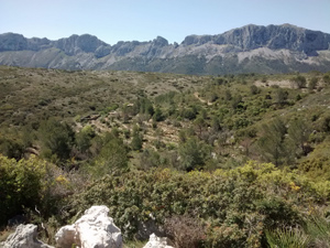 Spectacular Bernia Ridge