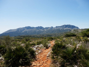 Footpath across Planises