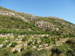 View across Maserof