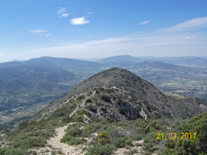 Along the ridge