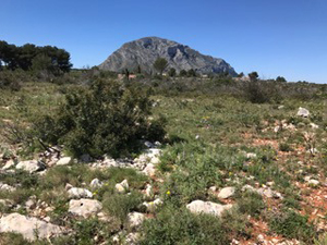 Across the Planises to Montgo