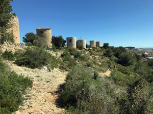 An array of Windmills