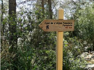 Alzina is encina (holm oak) in Castellano