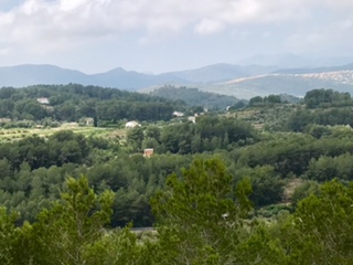 View from summit