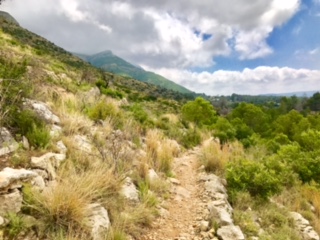 Terraced path