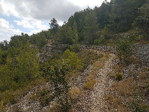 The path towards Aldea De Las Cuevas