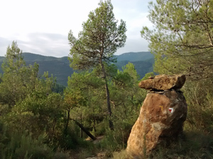 Signed boulders