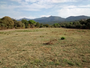 Distant views