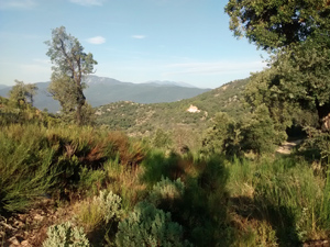 Typical scenery
