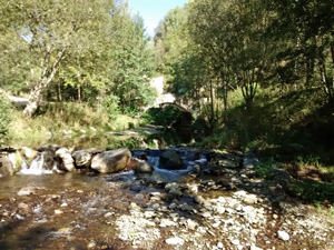 The OLD bridge shortly after the start