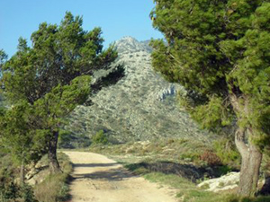 First summit of Carrascal de Parcent in view