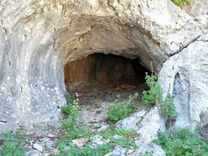 The cave