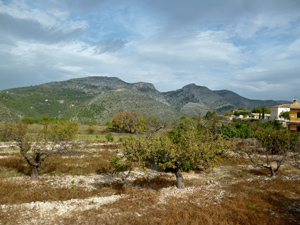 Typical terraced lands