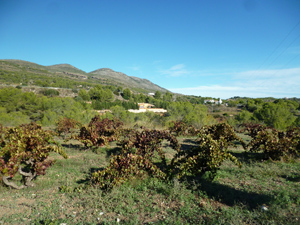 Lloma Larga ridge in the distance
