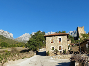 Village and Tower