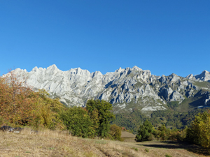 Central groups of the Picos