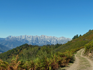 Track and Picos after the Ermita