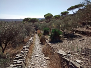 Delightful path to Cadaques
