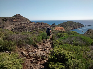 On the way to the Lighthouse