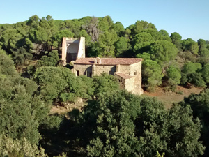 Church of St Baldiri