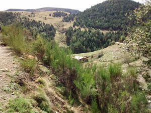 Valley views approaching Pardines