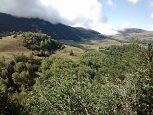 Pastures near our high col