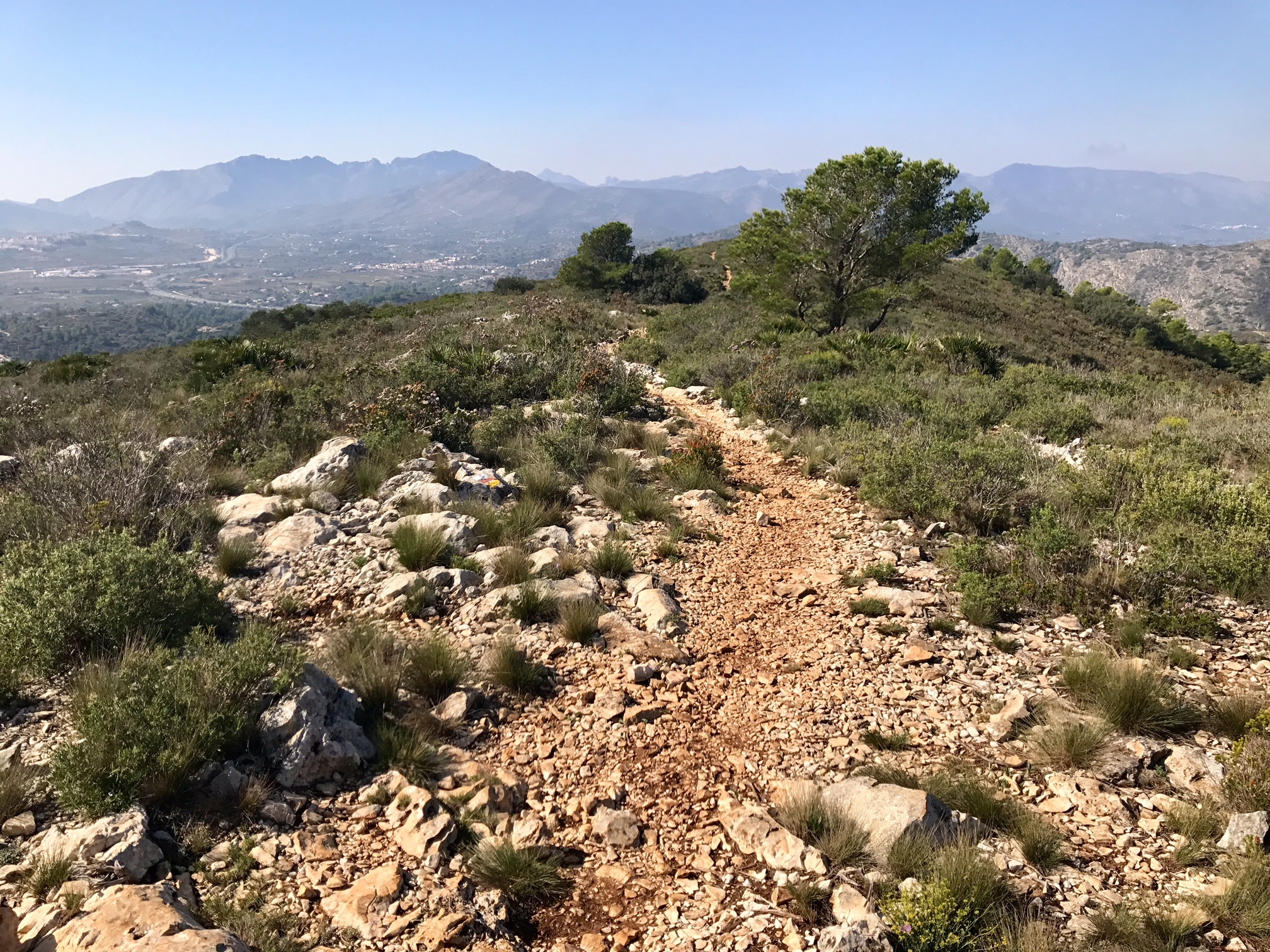 Serrellars track towards Bernia