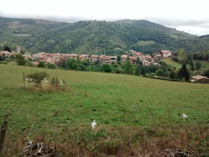 Approaching Mollo