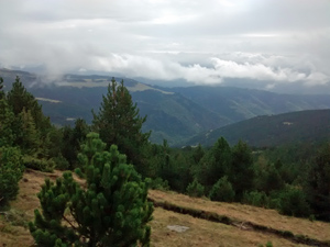 Misty hills