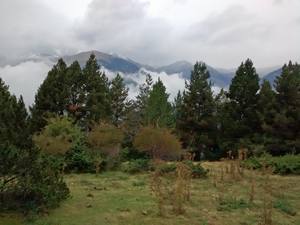 Mountain views