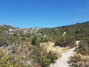 The path to the top