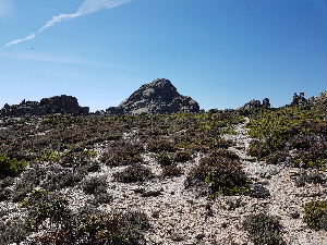 The summit