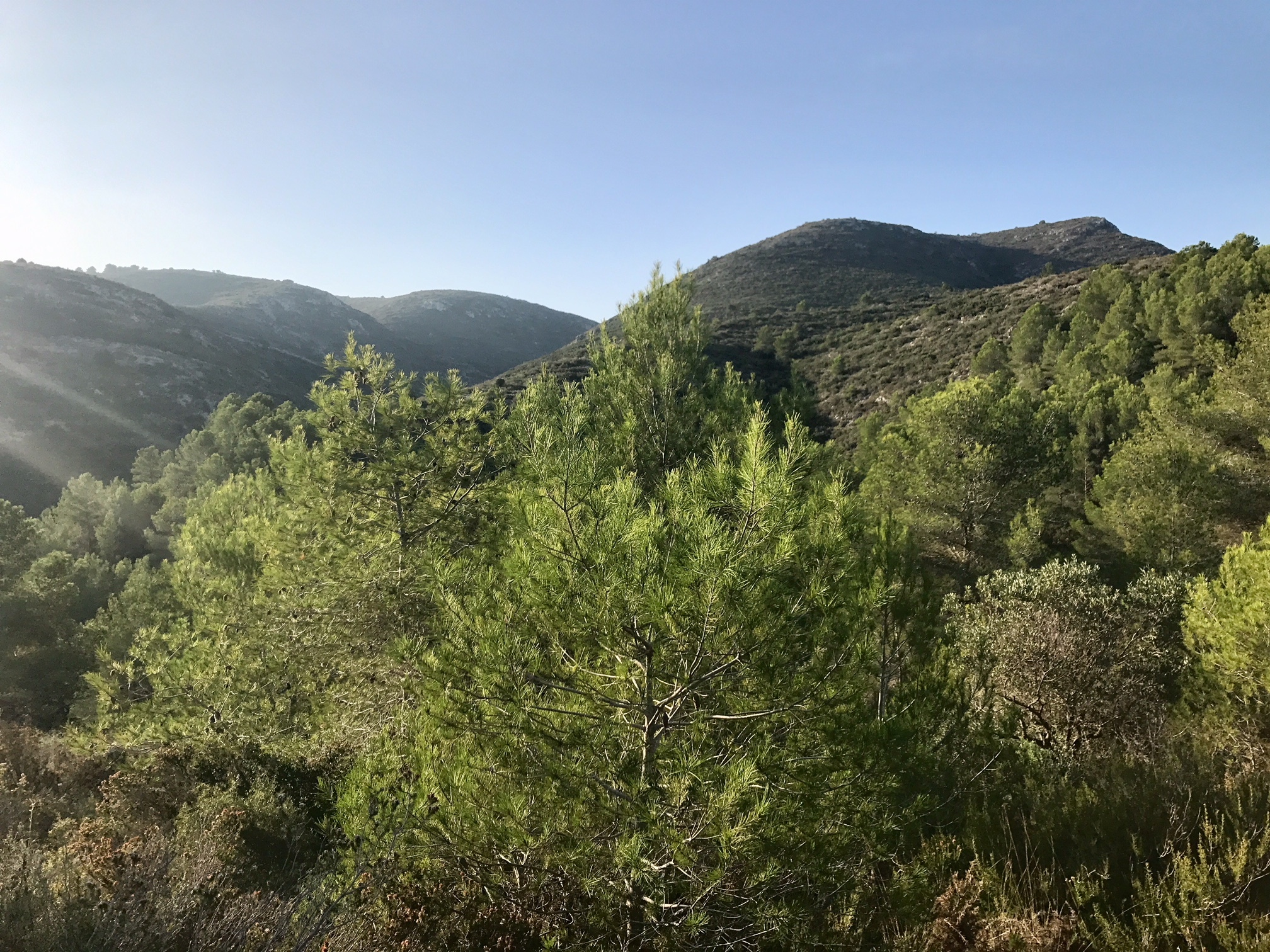 View across slopes of Seldetes