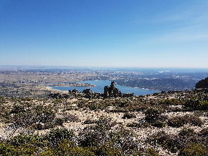 Views to the lake