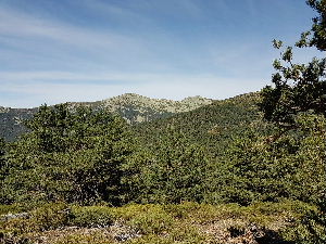 Views west