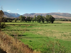 View back to the E from near Vilallobent