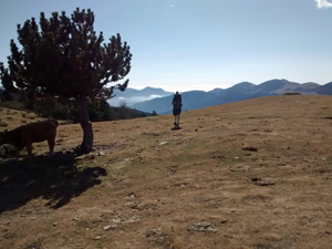 Approaching high mountains to the W