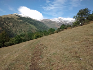 Pastures with distant high mountains