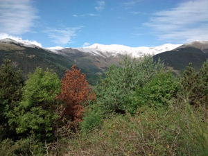 High Pyrenees