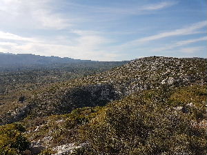 A view looking back on the area that you ascend