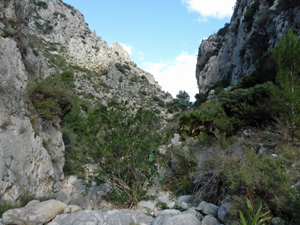 Near the start of the barranco