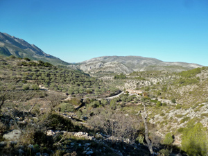 High level views of Alfaro