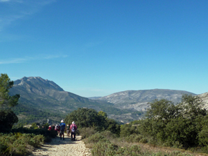 Idyllic walking