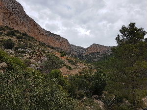 Looking up to the Gulley