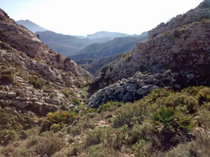 Near to the cave barranco