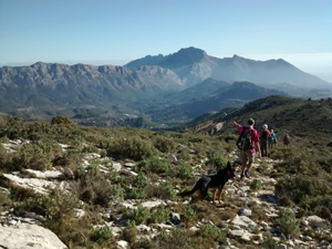 Views to West Bernia