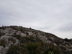 The cross