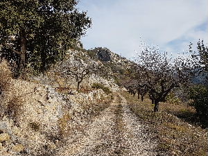 The track heading to Val D'Ebo