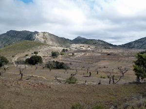 Cultivated plateau at about 5.5km