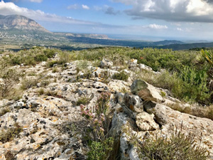 Tossal Aspre summit